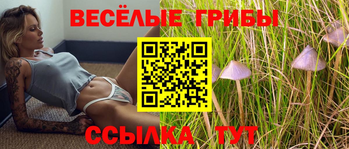 Псилоцибиновые грибы ЛСД Новый Уренгой