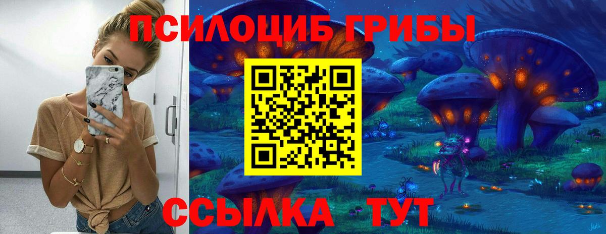 Галлюциногенные грибы MAGIC MUSHROOMS  дарнет шоп  Новый Уренгой  Вход с VPN 